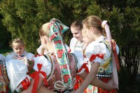 /album/fotogaleria-zotografie-z-vystupeni/f-jpg1/